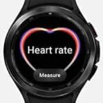 heart rate monitor